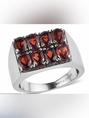 EverTrue Mozambique Garnet Men's Ring in Stainless Steel 4.70 ctw